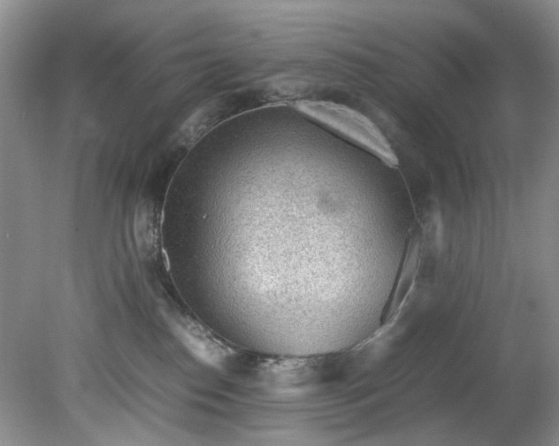 X0000079340186200612011943