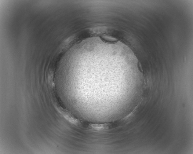 X0000079340187200612011943