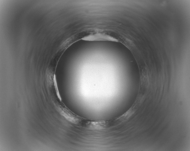 X0000079340188200612011943