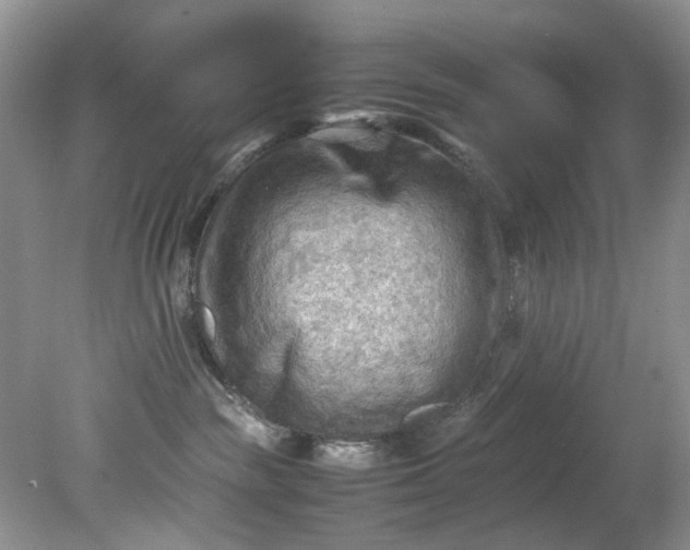 X0000079340189200612011943