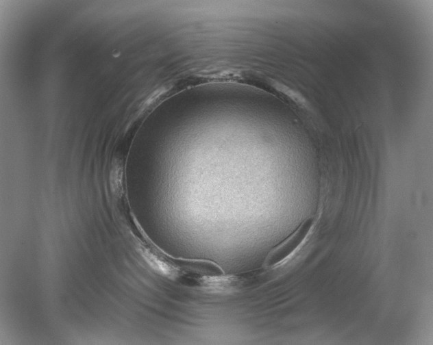 X0000079340192200612011943