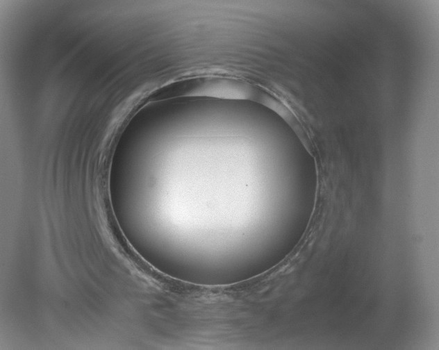 X0000079340193200612011942