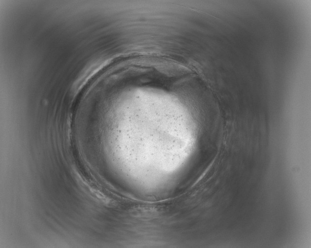 X0000079340194200612011942