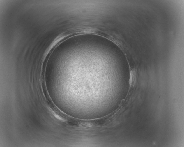 X0000079340195200612011942