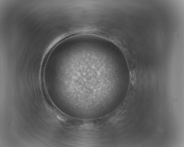 X0000079340196200612011942