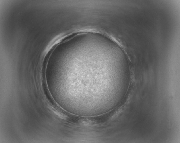 X0000079340199200612011942