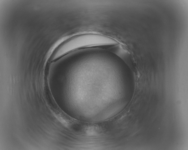 X0000079340200200612011942