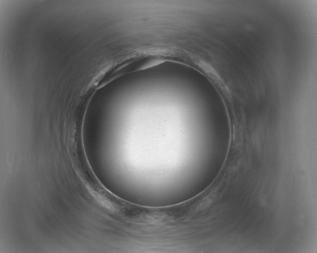 X0000079340201200612011942