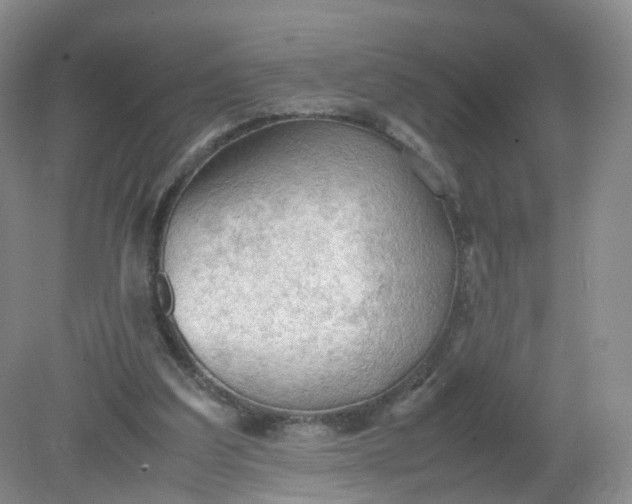 X0000079340203200612011942