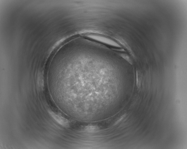 X0000079340204200612011942