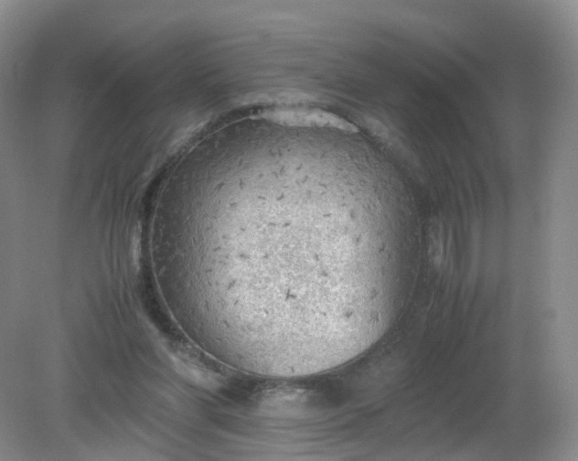 X0000079340206200612011942