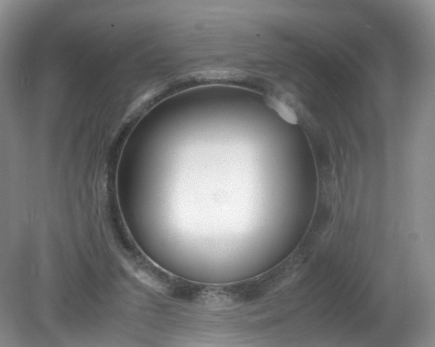 X0000079340207200612011942