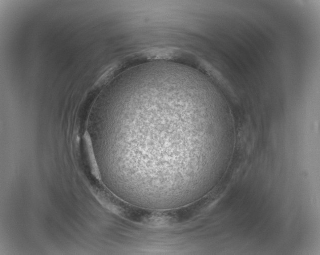 X0000079340209200612011942