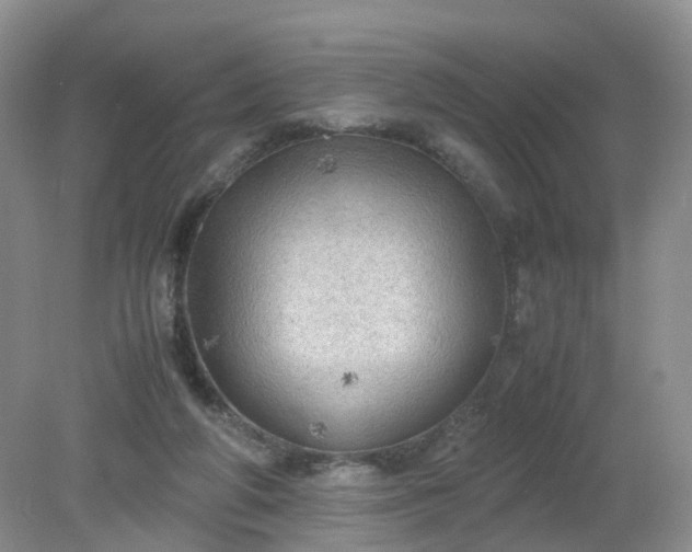 X0000079340210200612011942