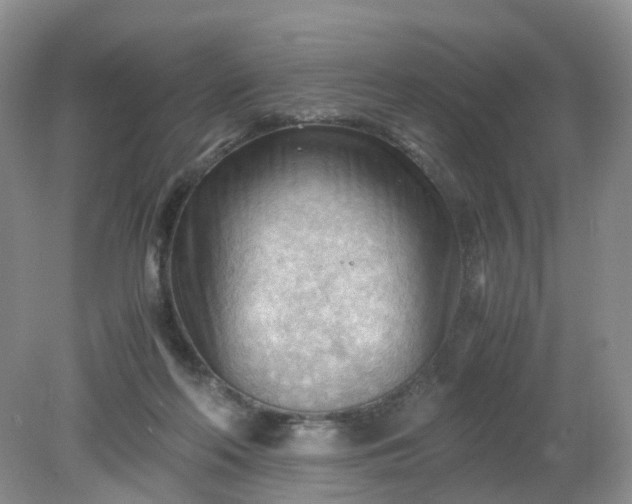 X0000079340214200612011942