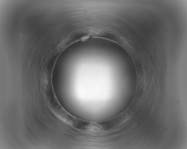 X0000079340215200612011942