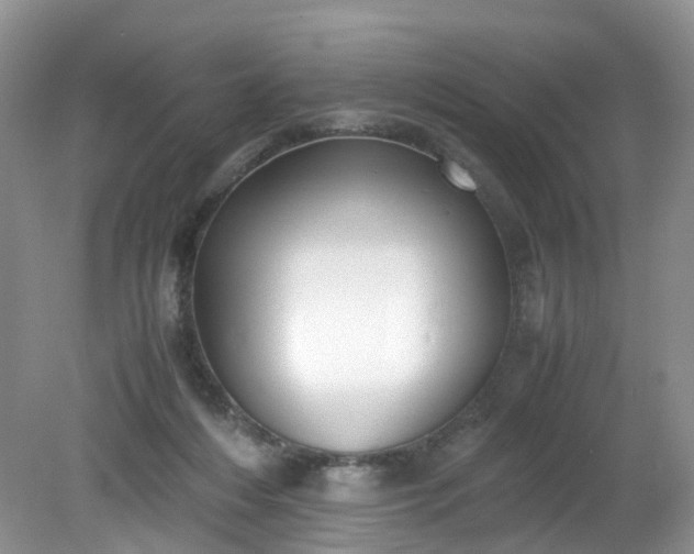 X0000079340216200612011942