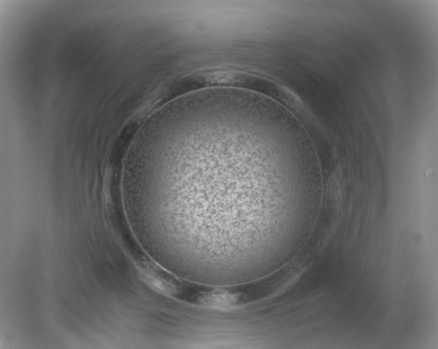 X0000079340217200612011942