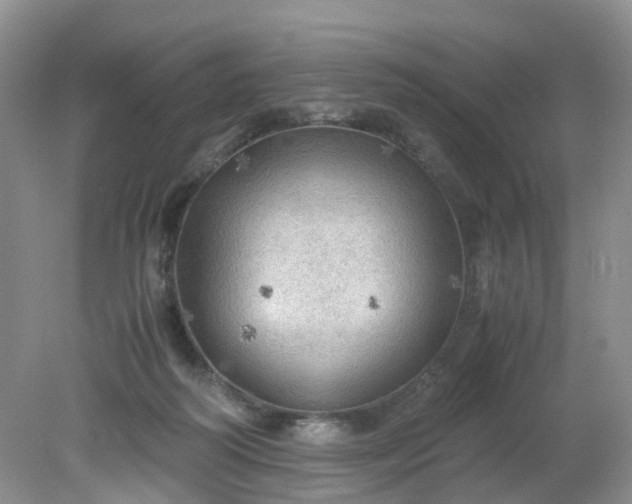 X0000079340218200612011942