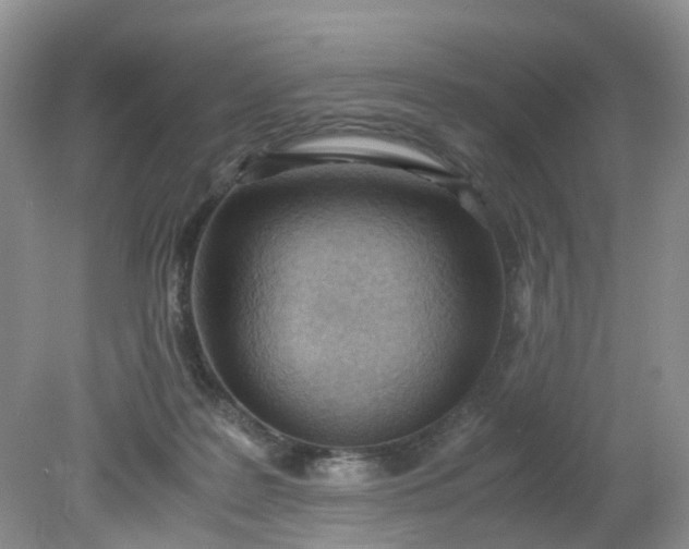 X0000079340219200612011942