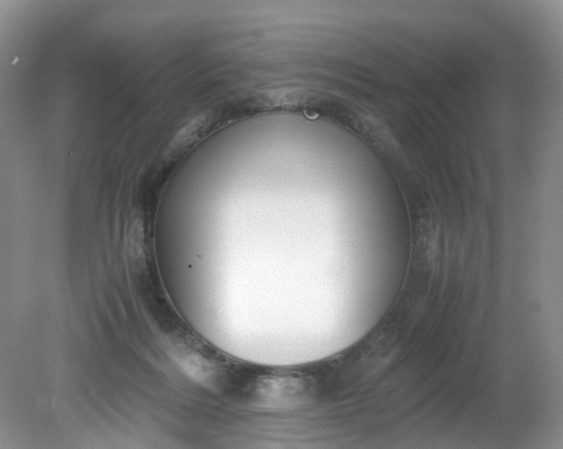 X0000079340220200612011942