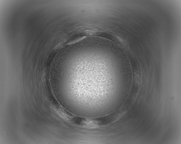 X0000079340221200612011942