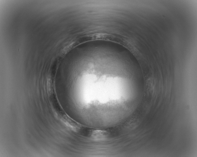 X0000079340222200612011942