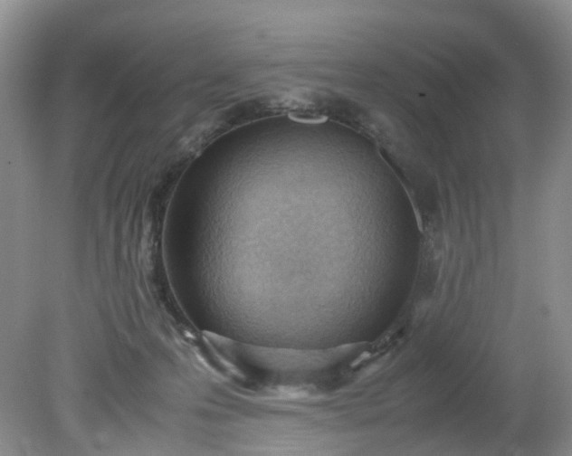 X0000079340223200612011942