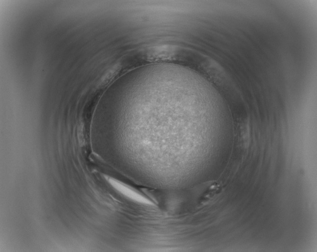 X0000079340224200612011942