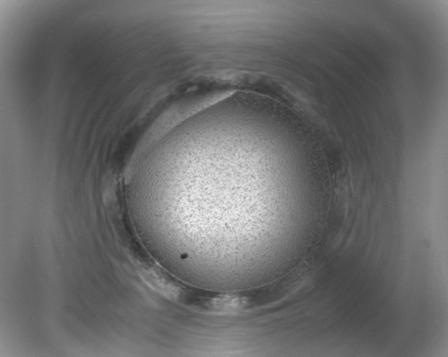 X0000079340225200612011942