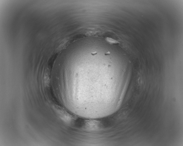 X0000079340226200612011942