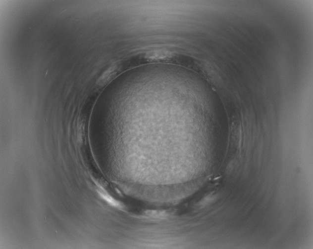 X0000079340227200612011942