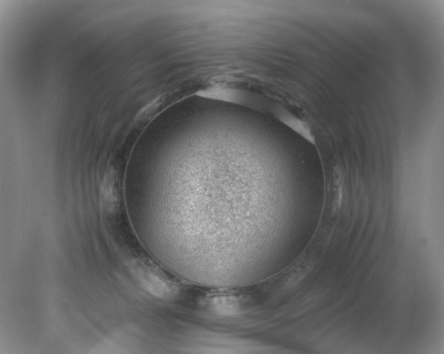 X0000079340228200612011942