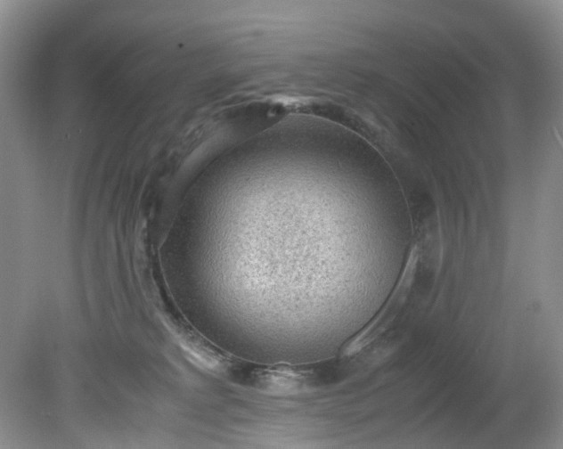 X0000079340229200612011942