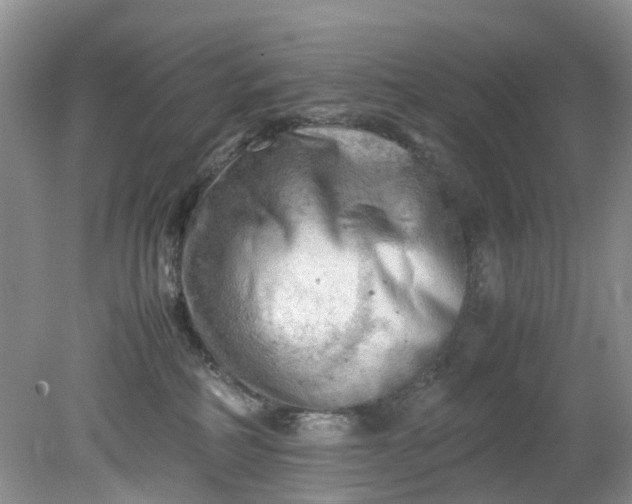 X0000079340234200612011942