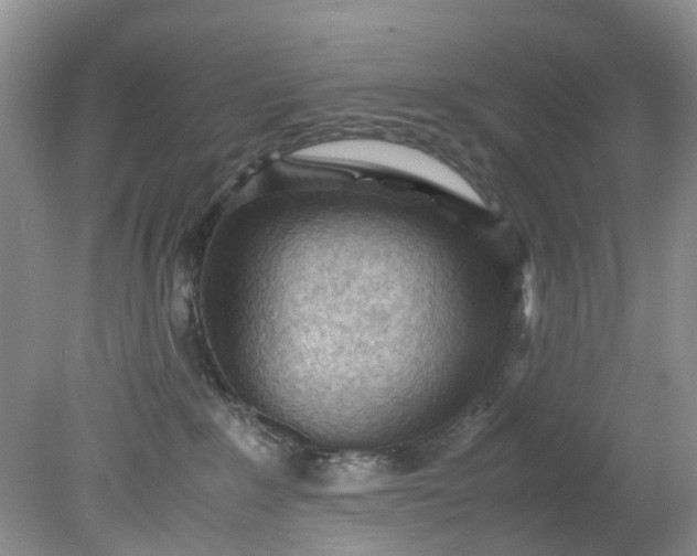 X0000079340235200612011942