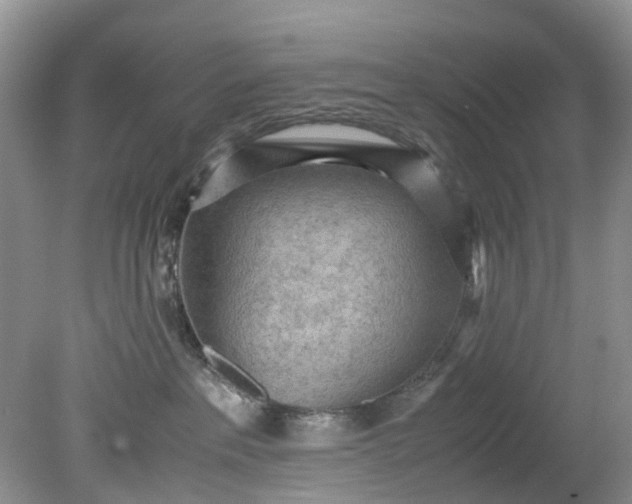 X0000079340237200612011942