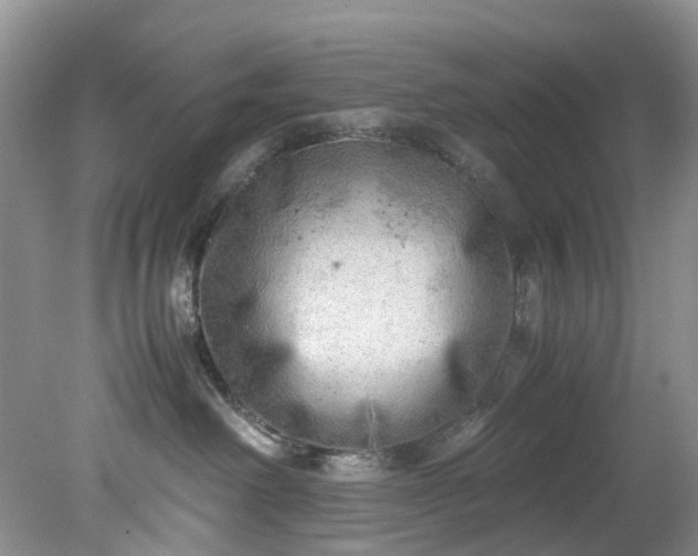 X0000079340238200612011942