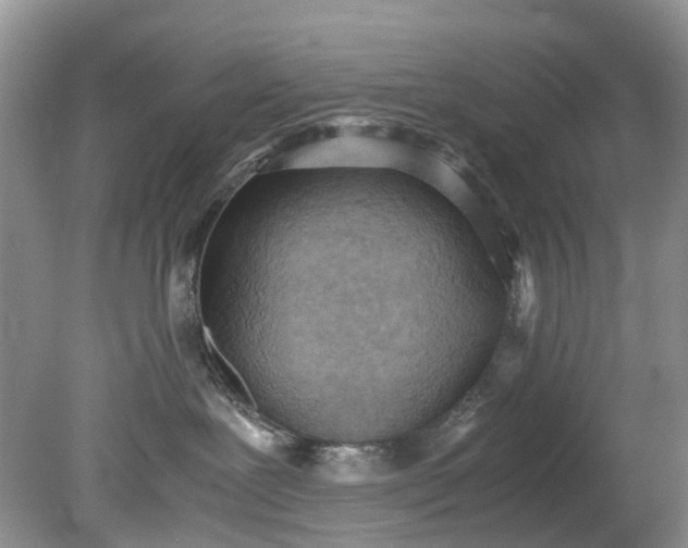 X0000079340239200612011942