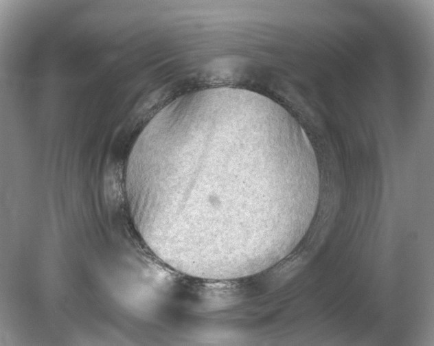 X0000079340240200612011942