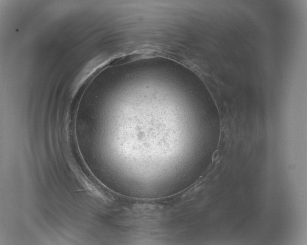 X0000079340242200612011941