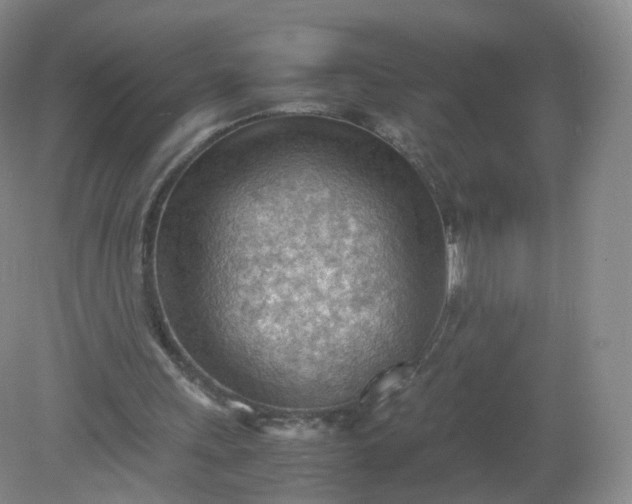 X0000079340243200612011941