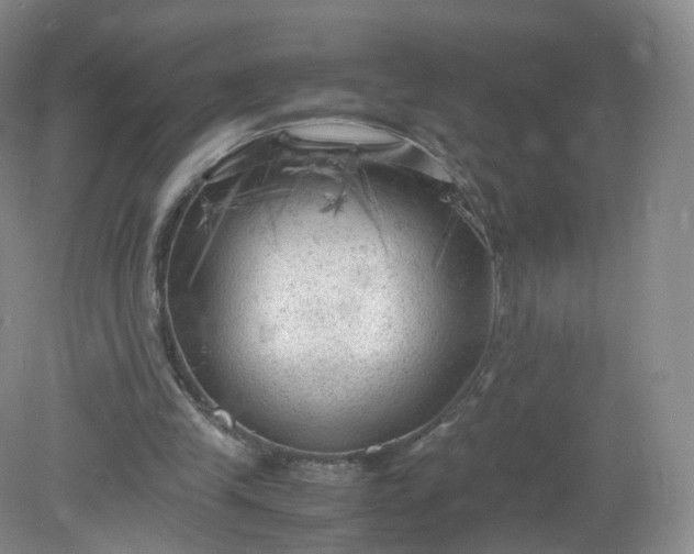 X0000079340245200612011941