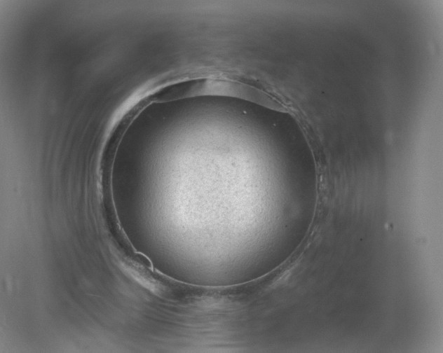 X0000079340246200612011941