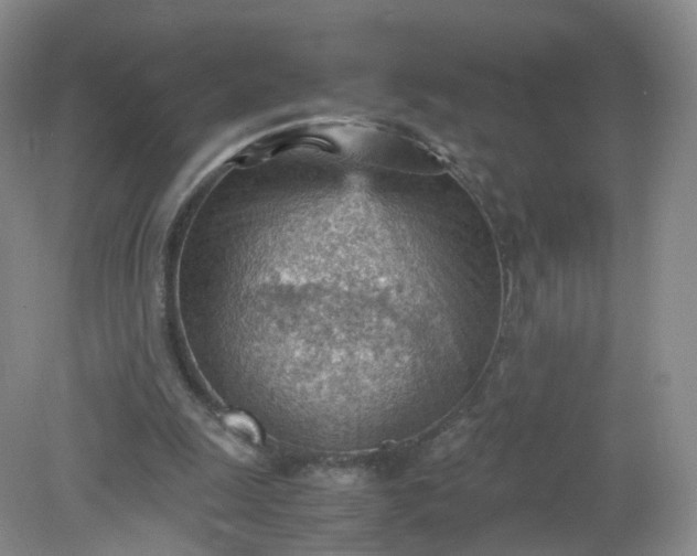 X0000079340247200612011941