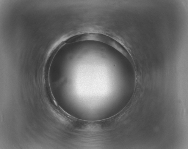 X0000079340248200612011941