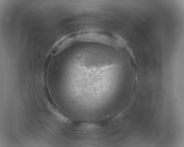 X0000079340249200612011941