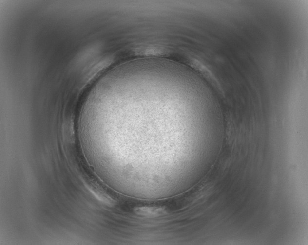 X0000079340251200612011941