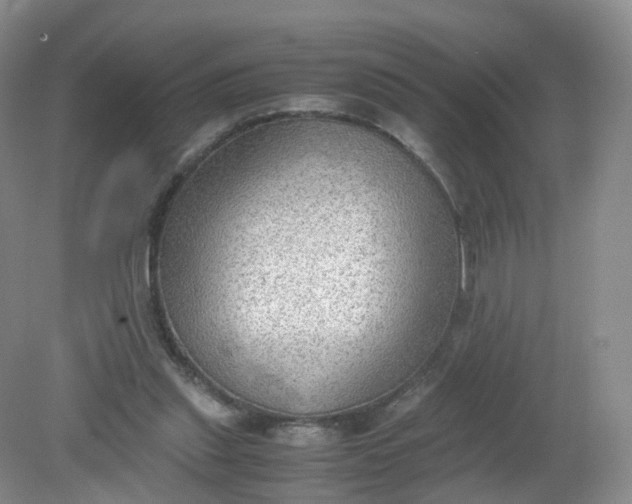 X0000079340253200612011941