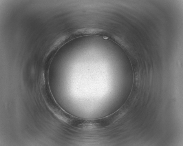 X0000079340254200612011941